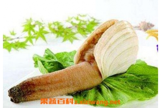 ��ΰ���ʳ�Ƽ�ֵ�빦Ч