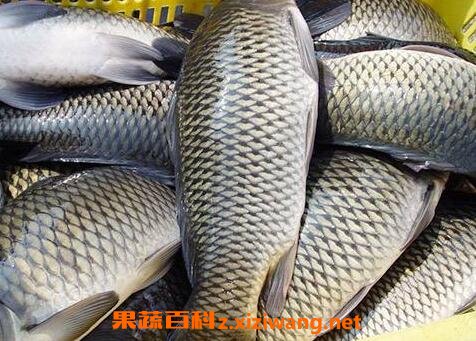 �����Ӫ����ֵ�빦Ч