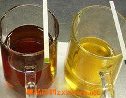 �ع�����ʲô����