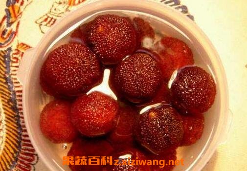 ��÷�Ƶ������빦Ч
