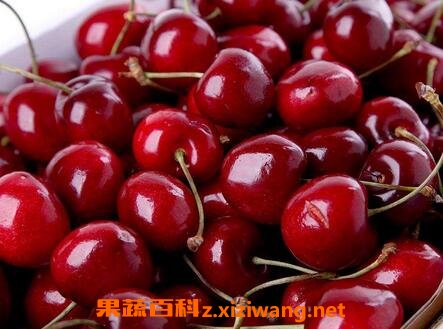 ���ڳ����ӵĹ�Ч������