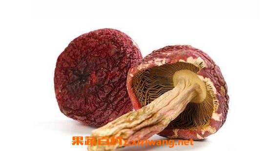 Ӫ�ں칽