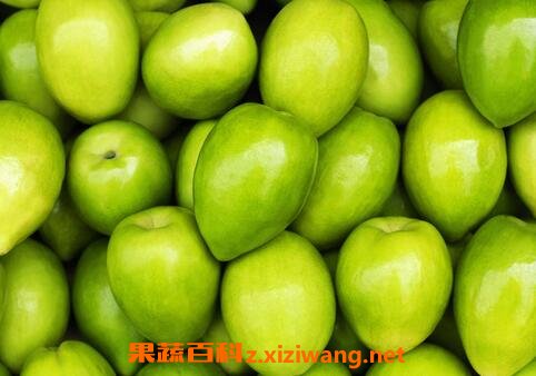 �����Ӫ����ֵ