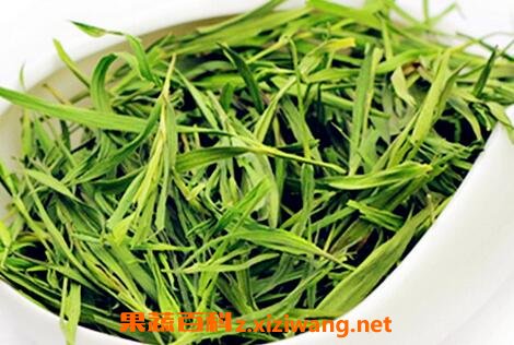 �в�ҩ����Ҷ�Ĺ�Ч������