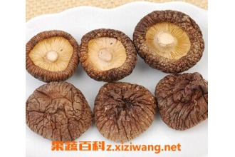 �㹽�Ͷ�����ʲô����