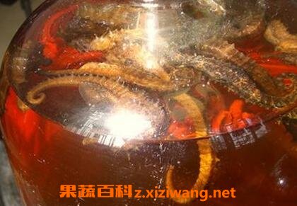 �����ݾ�