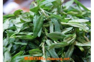 ���Ҷ�Ĺ�Ч��ʳ�÷���