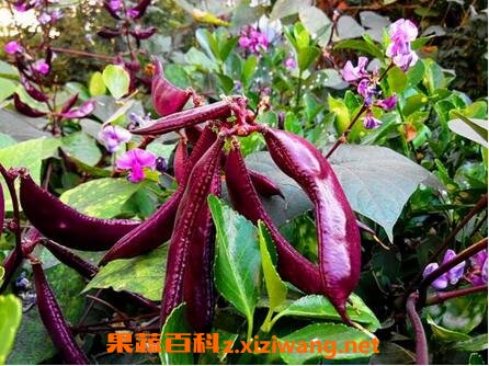 �ϱⶹ���Ĺ�Ч������