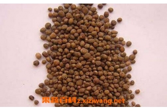 ָ�׻��ѵ�ҩ�ü�ֵ ָ�ײ��ѵĹ�Ч