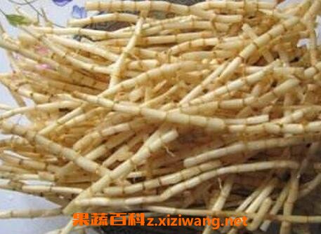 ��ҩ��é���������빦Ч