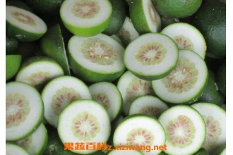 �׿ǵĹ�Ч������ �׿ǵ�ʳ�÷���