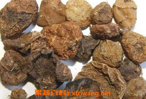 ��ҩɽ�ȹ��Ĺ�Ч������