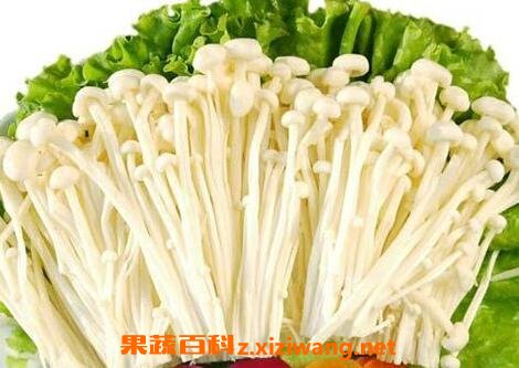 �����ϴ���빽