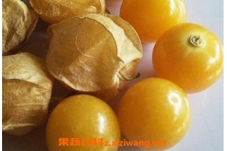 �и��ܳԹ������ �и��Թ��������