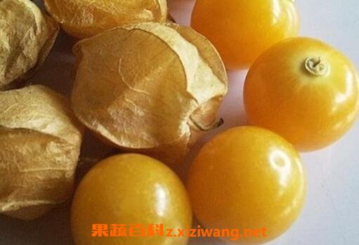 �и��ܳԹ������