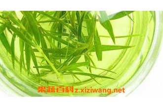 ����Ҷ��ˮ�ȵĹ�Ч������