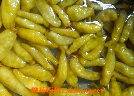 ָ�콷��ô���ƺó� 