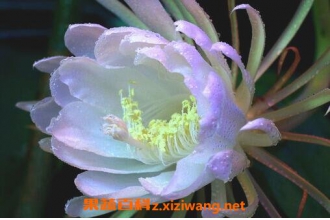 ����ɻ�����ֳ������ע������