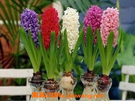 �����ӵ���ֳ������ע������