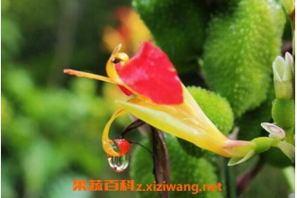 �������� �������ֳ��������