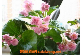 �ذ��ļ����Ļ�����ֳ����