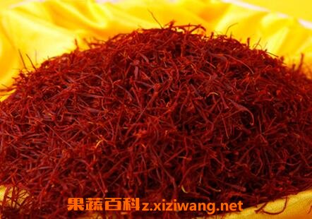 �غ컨Ҫ����������