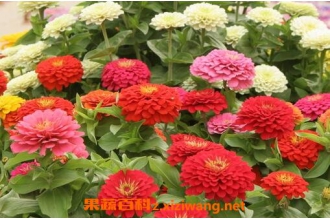 �ذ���ղ�������� �ذ���ղ����ַ���