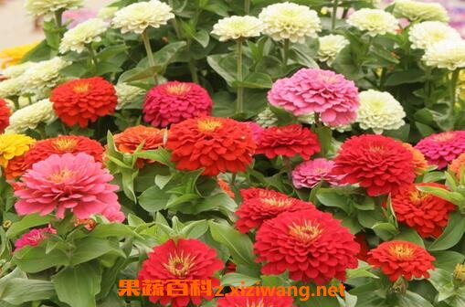 �ذ���ղ����ַ���