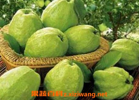 ���Ѱ��ֹ���Ӫ����ֵ