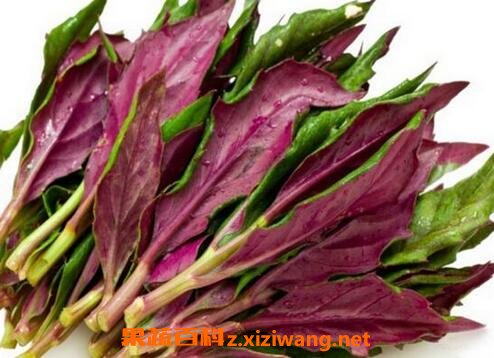 �ϱ�����Ĺ�Ч�����ü�ʳ�÷���