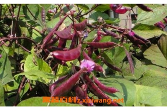 �ϱⶹ���ܺ�ʲôһ���