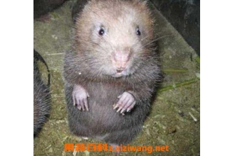 �������Ӫ����ֵ �������ҩ�ü�ֵ