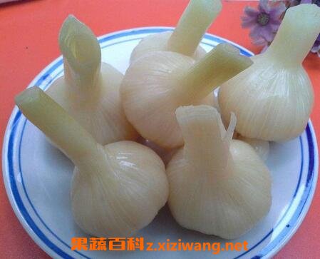 ���ڱ���������Ʒ���