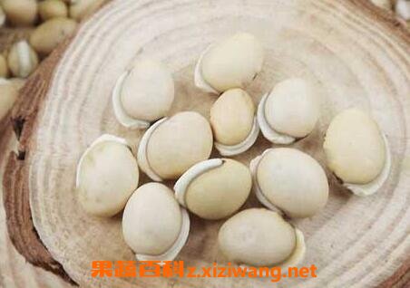 �ױⶹ�ѵĹ�Ч�����ü�ʳ�÷���