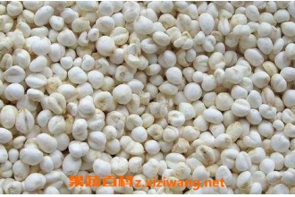 �������ѵĹ�Ч�����ü�ʳ�÷���