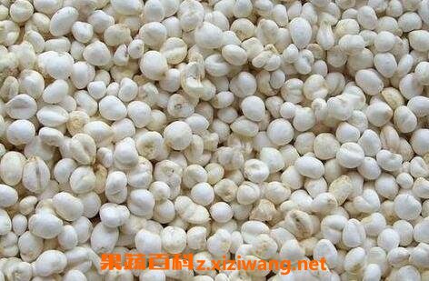 �������ѵĹ�Ч�����ü�ʳ�÷���