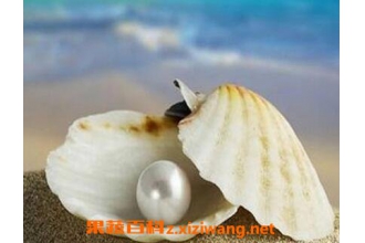 ������ǵ�ҩ�ü�ֵ