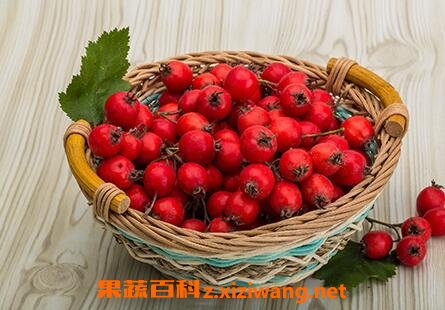 ɽ髿ǵĹ�Ч�����ü�����