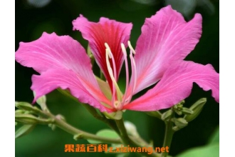 �Ͼ�������ֳ���� �Ͼ�������������������