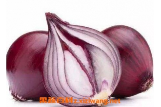 �ϴ�ͷо�Ĺ�Ч������