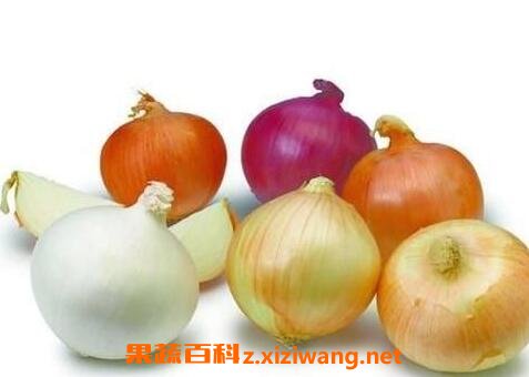 ����кͰ�����ĸ�Ӫ����ֵ��