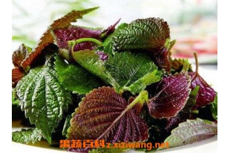 ���չ��ӽ��Ĺ�Ч������