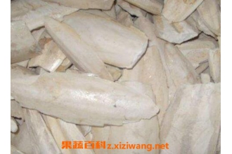 ī��ǵ������빦Ч
