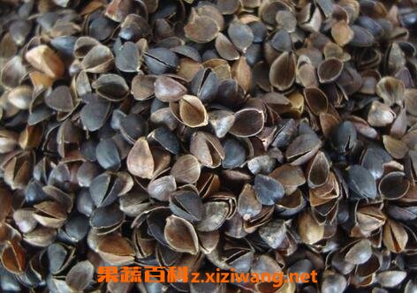 ������ǵĹ�Ч������