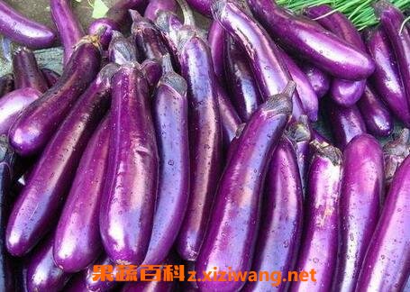 �ϳ��ѵ�Ӫ����ֵ