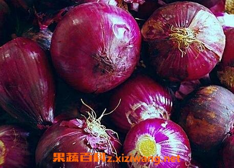 ��Բ�е�Ӫ����ֵ