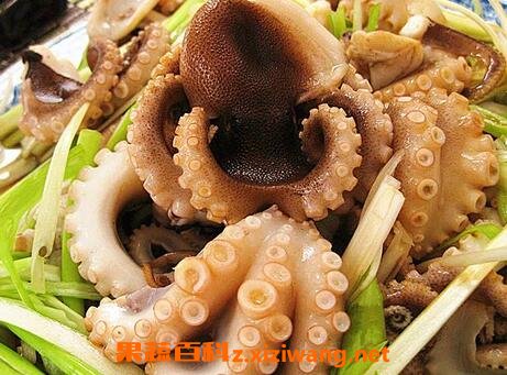 �˴��}��Ӫ����ֵ