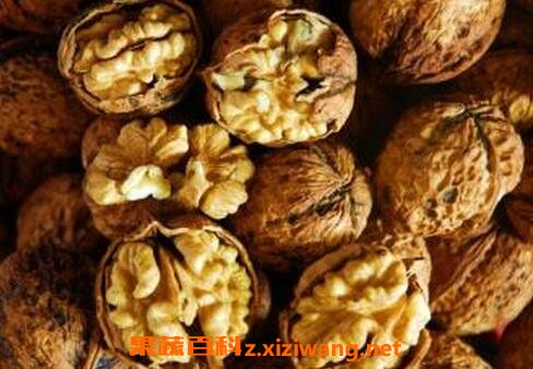 ���ҿǵ����ü�ʳ�÷���