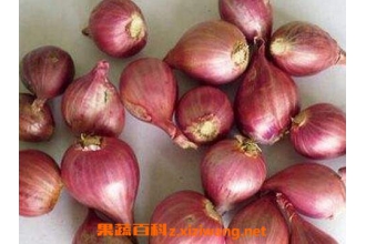 �в�ҩ��е������빦Ч