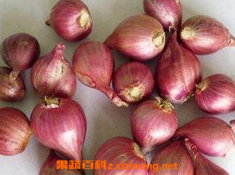 �в�ҩ��������빦Ч